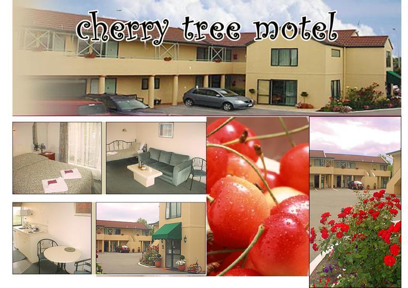 Cherry Tree Lodge Motel Christchurch Extérieur photo